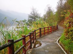 -羚羊峡古栈道森林公园