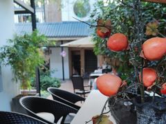 -往来·竹里.宝宝宴.生日宴.团建.宴席(花乡农居店)
