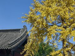 -钱王祠