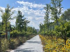 -森林公园(尖草坪区)