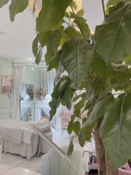 -蜜奈肌肤管理中心