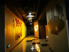 -万达影城(开福万达广场IMAX店)