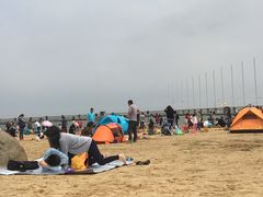 -碧海金沙
