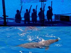 -前王院•巧克力海鲜市集餐厅(万平口店)