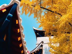 -四川大学(华西校区)