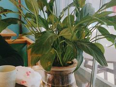-偶屋里钵少爷(时代广场店)