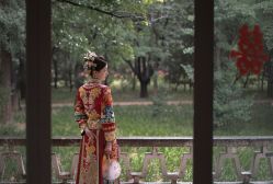 -洋洋婚纱品牌集合店