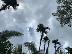 -呀诺达热带雨林
