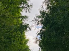 -嘉北郊野公园