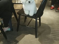 -喜茶(佛山顺德大良东乐路店)