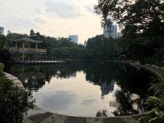 -晓港公园