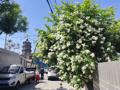 -辽代双塔
