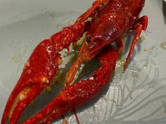 -辣盆盆麻辣小龙虾(哈尔滨总店)