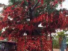 -芜湖方特东方神画