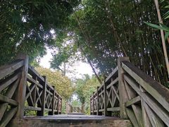 -桤木河湿地公园