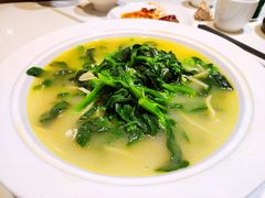 黄汤菜尖-金鼎轩(亚运村店)