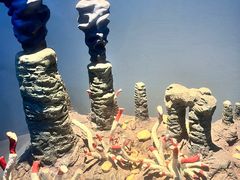 -浙江自然博物院(杭州馆)