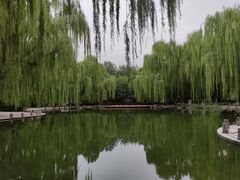 -玲珑塔公园