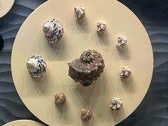 -中国（海南）南海博物馆