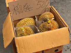 -大连果菜批发市场