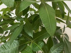 -沈阳铁西万象汇