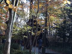 -轻井泽高原教堂