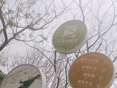 -佛山华盖山公园