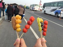 -红海滩国家风景廊道