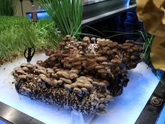 -V-ONE西雅图海鲜自助餐厅(仓山万达广场店)