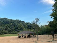 -杭州野生动物世界