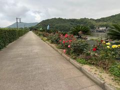 -桃花岛风景旅游区