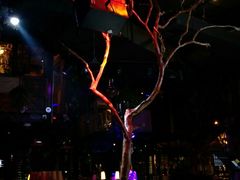 -胡桃里音乐酒馆(郴州友阿国际广场店)