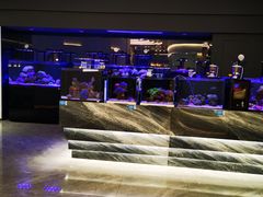 -1013 PET SHOP精品宠物商店(丁香店)