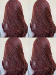 -IP SALON