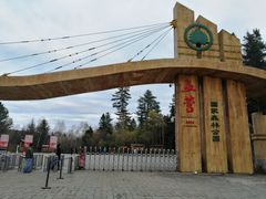 -五营红松林海景区