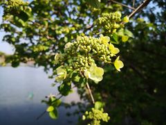 -白塘生态植物园