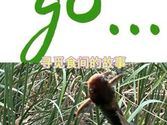 -宁波杭州湾国家湿地公园