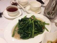美心皇宫(沙田大会堂)-美心皇宫(沙田大会堂店)