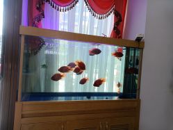 点击看大图 -WENDY·温迪皮肤管理