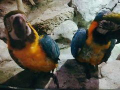 -福州罗源湾海洋世界旅游区