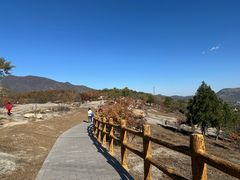 -白水寺森林公园