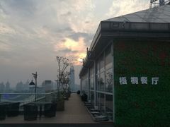 -梧桐餐厅(泉城路店)