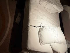 -广州白天鹅宾馆