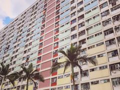 -彩虹村