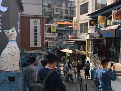 -猫咪博物馆(顶澳仔猫街店)