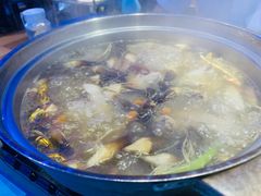 鲜人参锅底-千岛蚝高压锅生蚝·人参火锅(白云万达店)