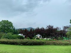 -陶祖圣境风景区