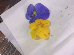 -MIKAKU(万达广场上海宝山店)