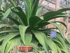 -南山植物园