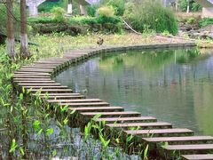 -重庆彩云湖湿地公园